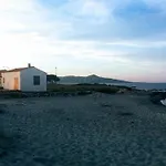 Levante *