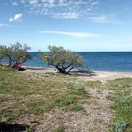 Levante
