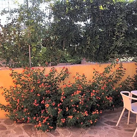 Bed and breakfast Levante *